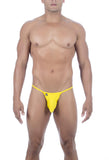 Joe Snyder Maxibulge Kini