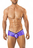 Joe Snyder Cheek Pride Frame