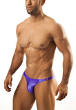 Joe Snyder Clip Bikini Classic