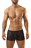 Joe Snyder Boxer