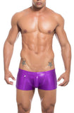Joe Snyder Boxer Dazzling
