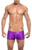 Joe Snyder Boxer Dazzling