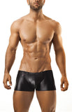 Joe Snyder Boxer