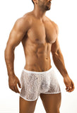 Joe Snyder Boxer