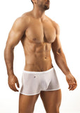 Joe Snyder Boxer