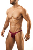 Joe Snyder Bulge Bikini