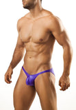 Joe Snyder Bulge Full Bikini