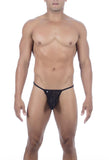 Joe Snyder Maxibulge Kini