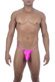 Joe Snyder Maxibulge Kini