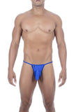 Joe Snyder Maxibulge Kini