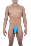 Joe Snyder Maxibulge Kini