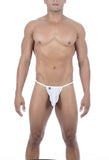 Joe Snyder Maxibulge Kini
