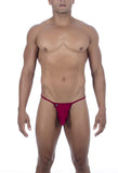 Joe Snyder Maxibulge Kini