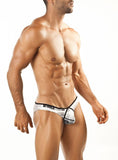 Joe Snyder Bikini Pride Frame