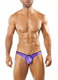 Joe Snyder Bikini Pride Frame
