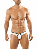 Joe Snyder Bikini Pride Frame