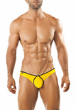 Joe Snyder Bikini Pride Frame