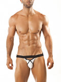 Joe Snyder Jockstrap Pride Frame