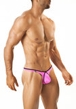 Joe Snyder Thong Pride Frame