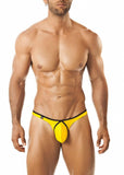 Joe Snyder Thong Pride Frame