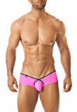 Joe Snyder Cheek Pride Frame