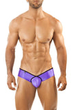 Joe Snyder Mini Cheek Pride Frame