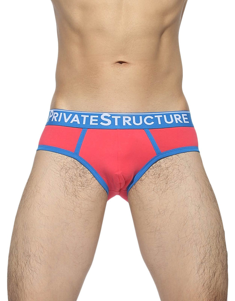 Private Structure Quantum Briefs