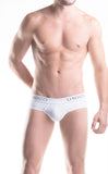 Mundo Unico Brief