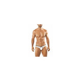 Joe Snyder Bikini Pride Frame